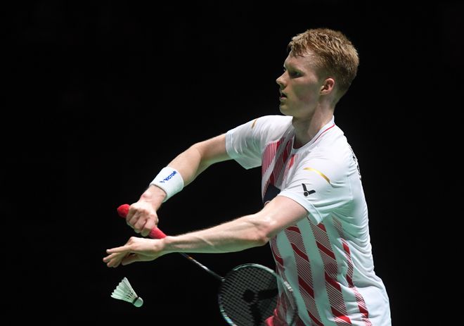 抓鸟机会 抓鸟机会